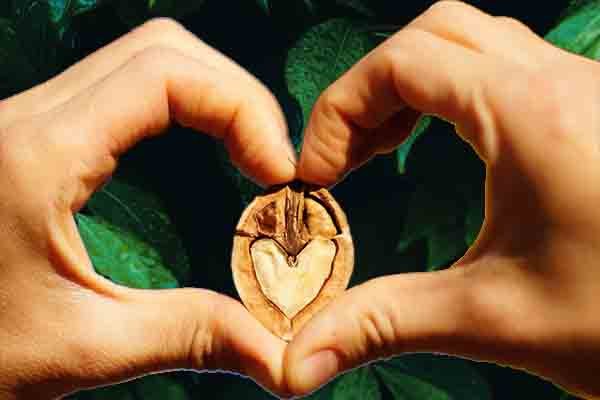 LA SALUD DE LA PROSTATA